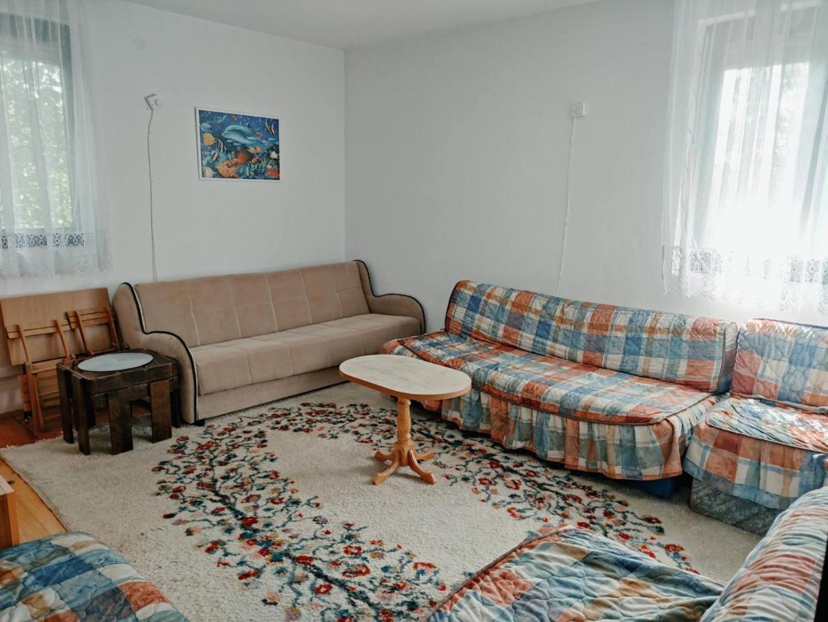 Вилла Cozy House Cvetkovic Ниш Экстерьер фото