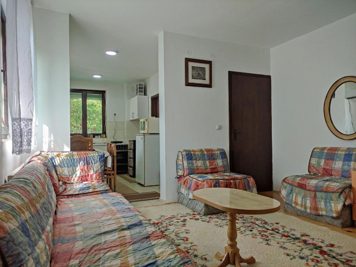 Вилла Cozy House Cvetkovic Ниш Экстерьер фото